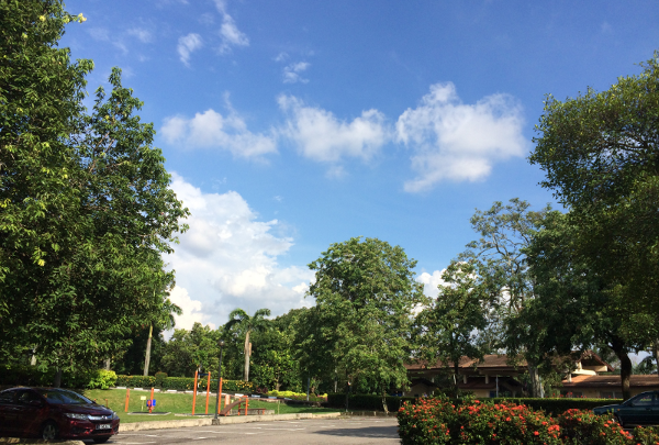 马来西亚汝来大学图书馆开放时间与资源揭秘，助力学术成功