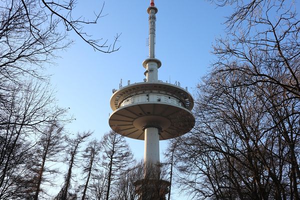 马来西亚汝来大学预科衔接本科专业说明